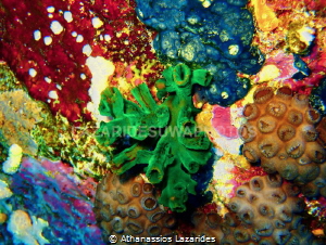Colourful cave wall by Athanassios Lazarides 